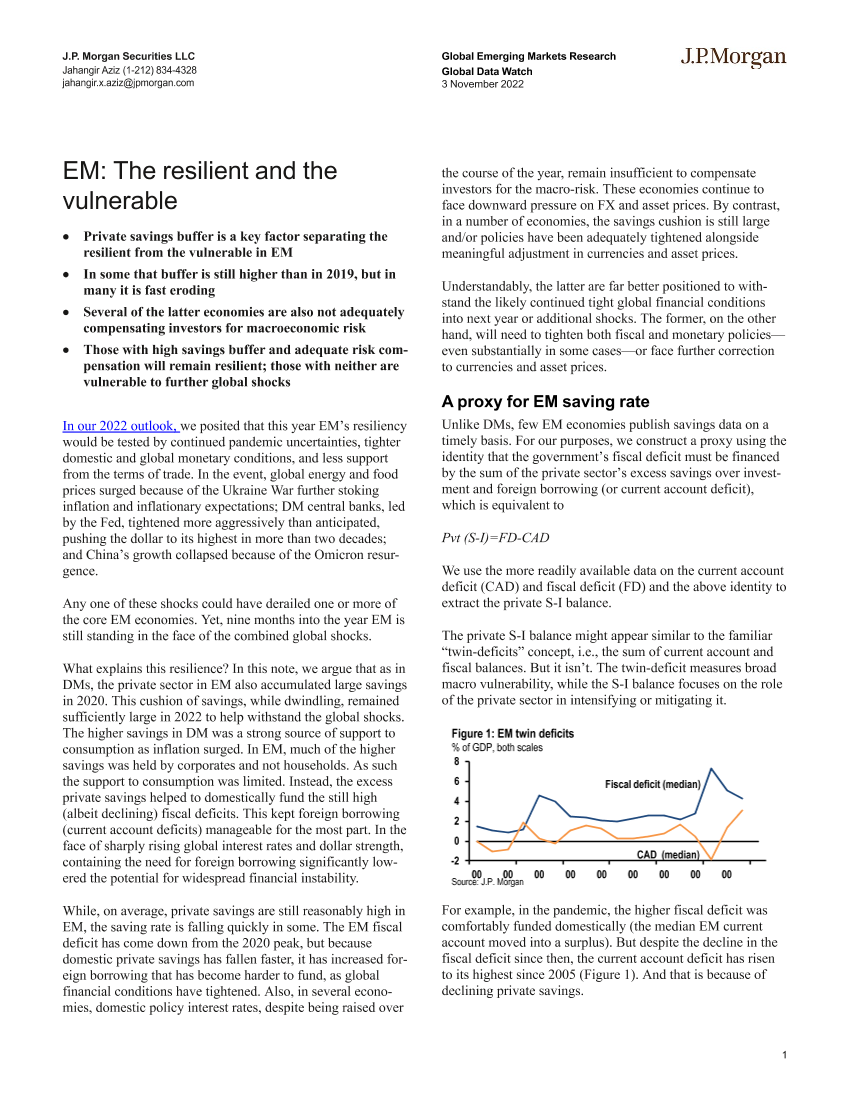 JPMorgan Econ  FI-EM The resilient and the vulnerable -99064882JPMorgan Econ  FI-EM The resilient and the vulnerable -99064882_1.png
